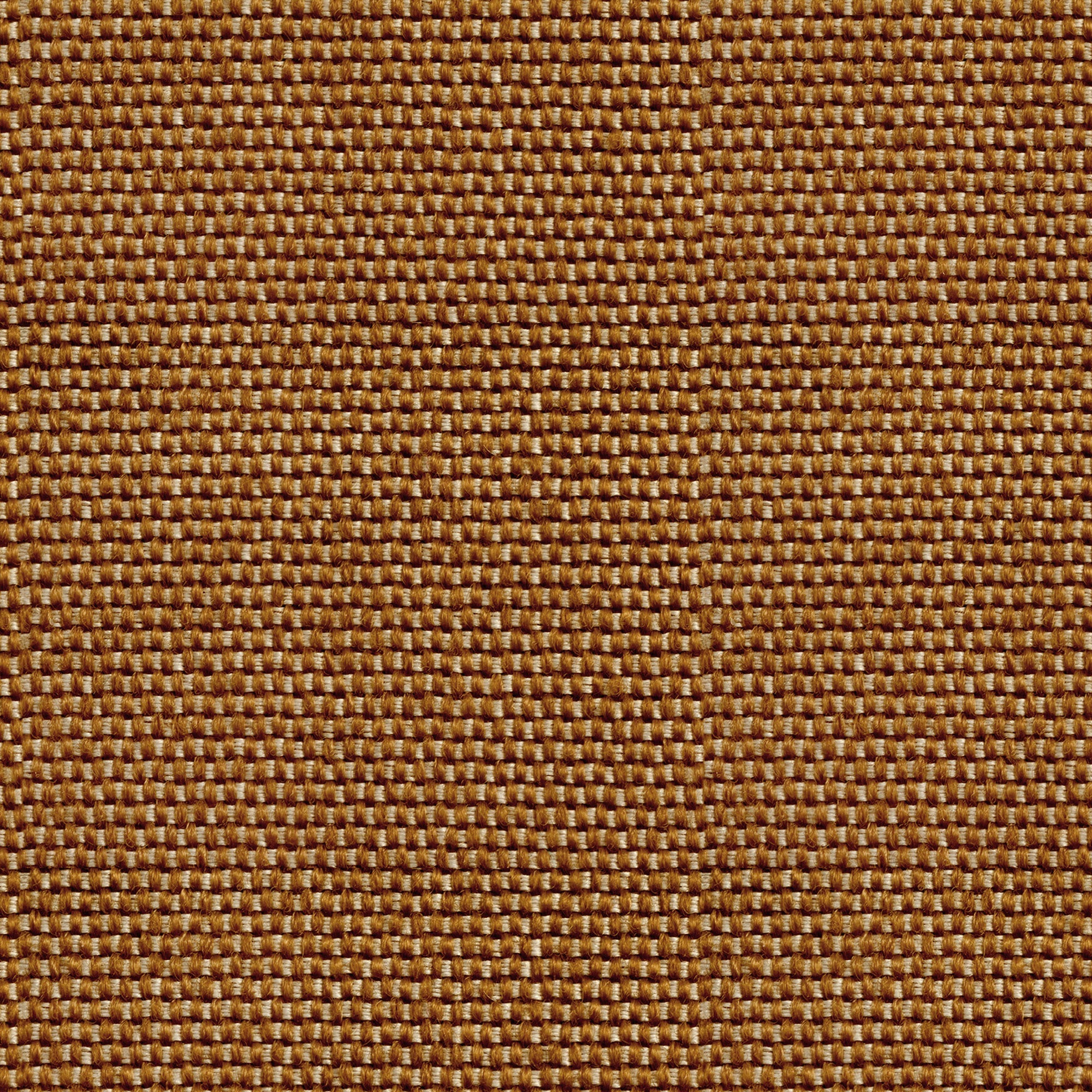 Yuca Brown Raffias Eco Wallpaper by Coordonné