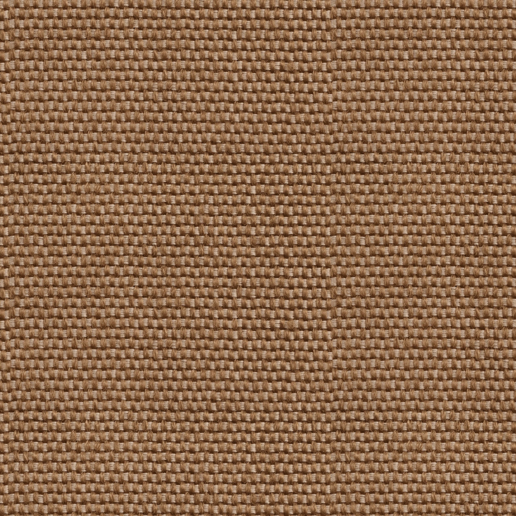 Yuca Brown 2 Raffias Eco Wallpaper by Coordonné