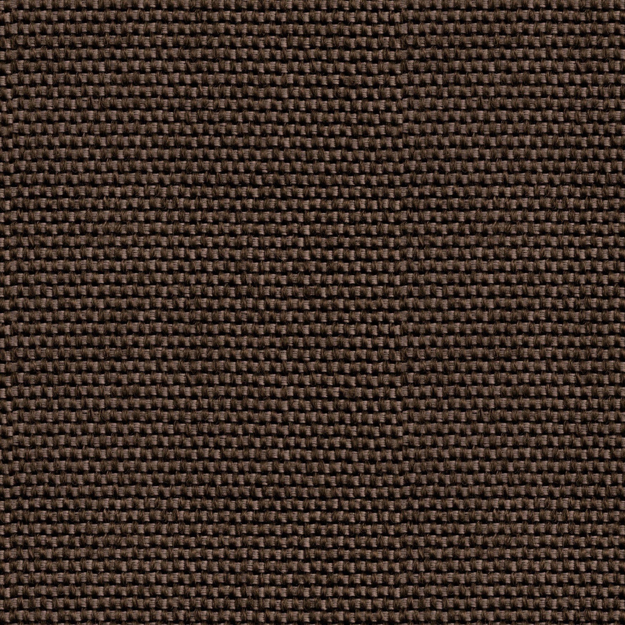 Yuca Brown 3 Raffias Eco Wallpaper by Coordonné