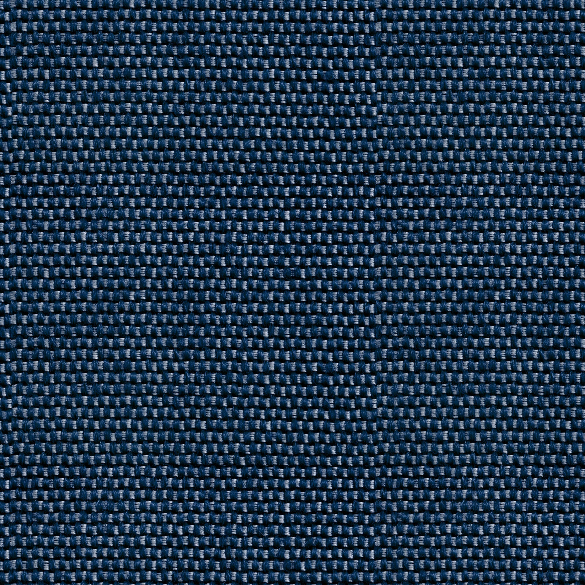 Yuca Blue/Navy Raffias Eco Wallpaper by Coordonné