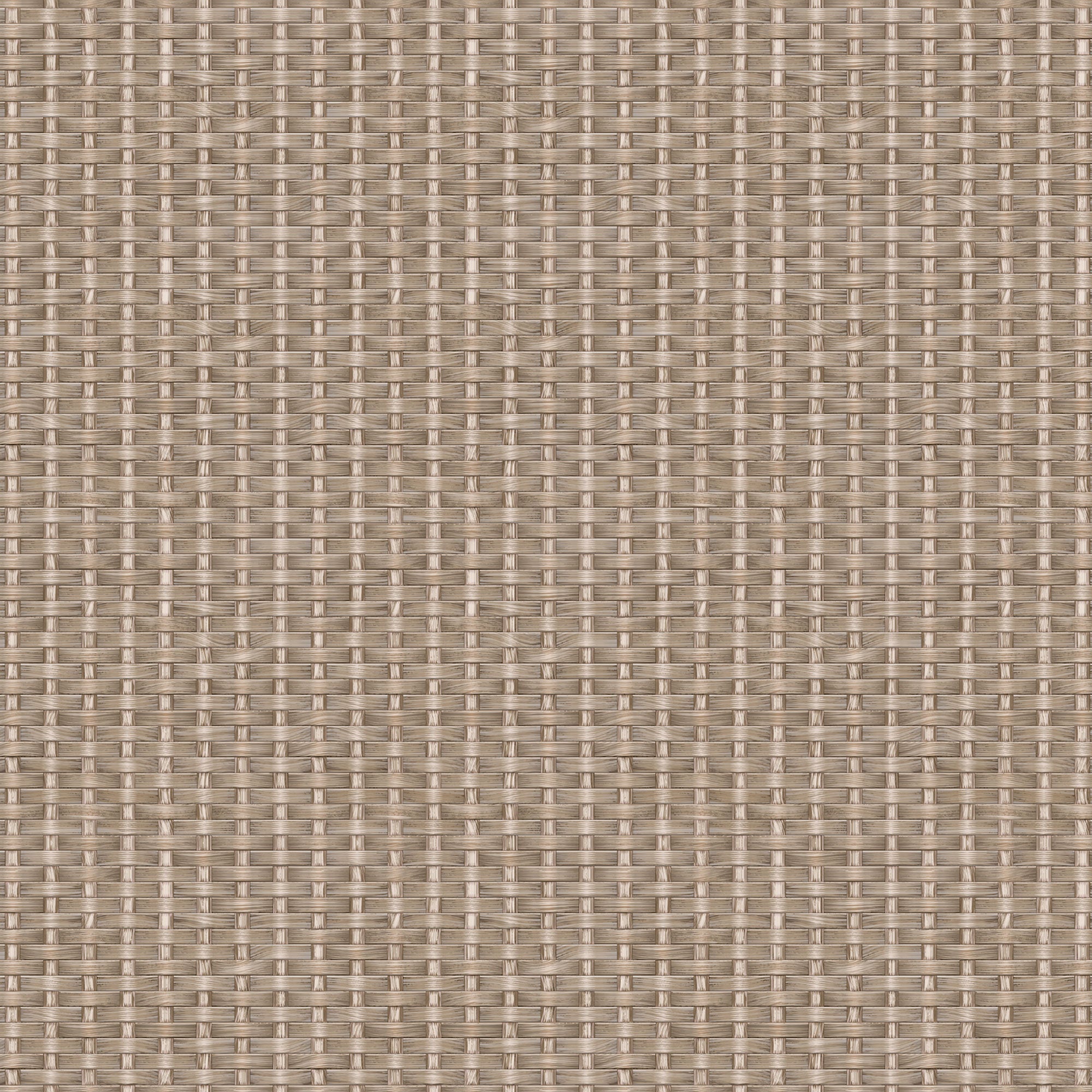 Kuba Beige/Nude Raffias Eco Wallpaper by Coordonné