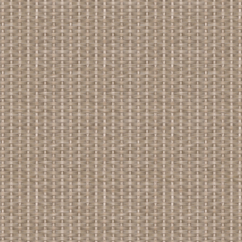 Kuba Beige/Nude Raffias Eco Wallpaper by Coordonné