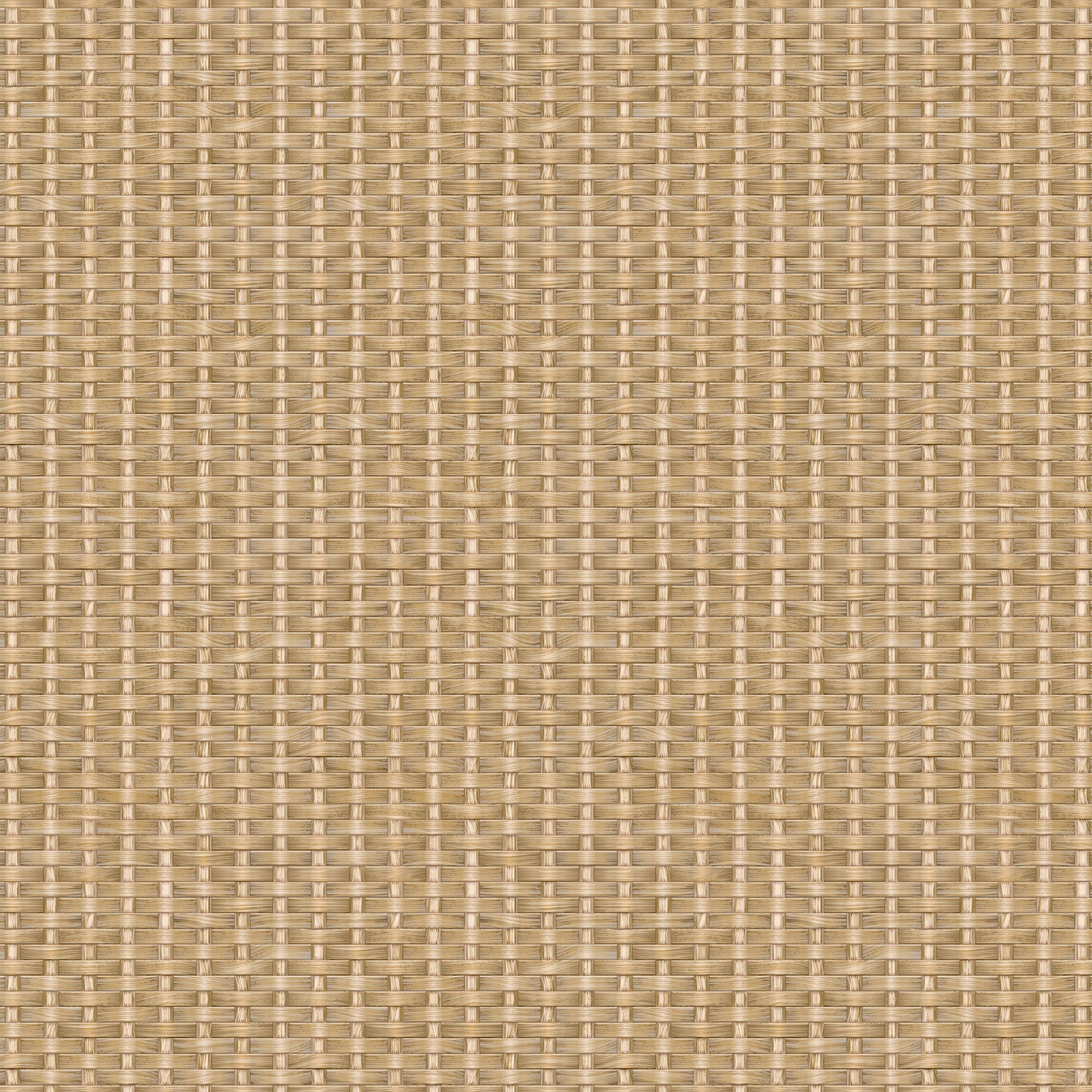 Kuba Beige/Nude 2 Raffias Eco Wallpaper by Coordonné