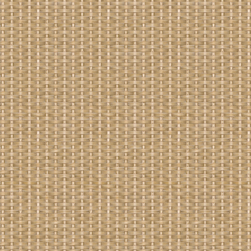 Kuba Beige/Nude 2 Raffias Eco Wallpaper by Coordonné
