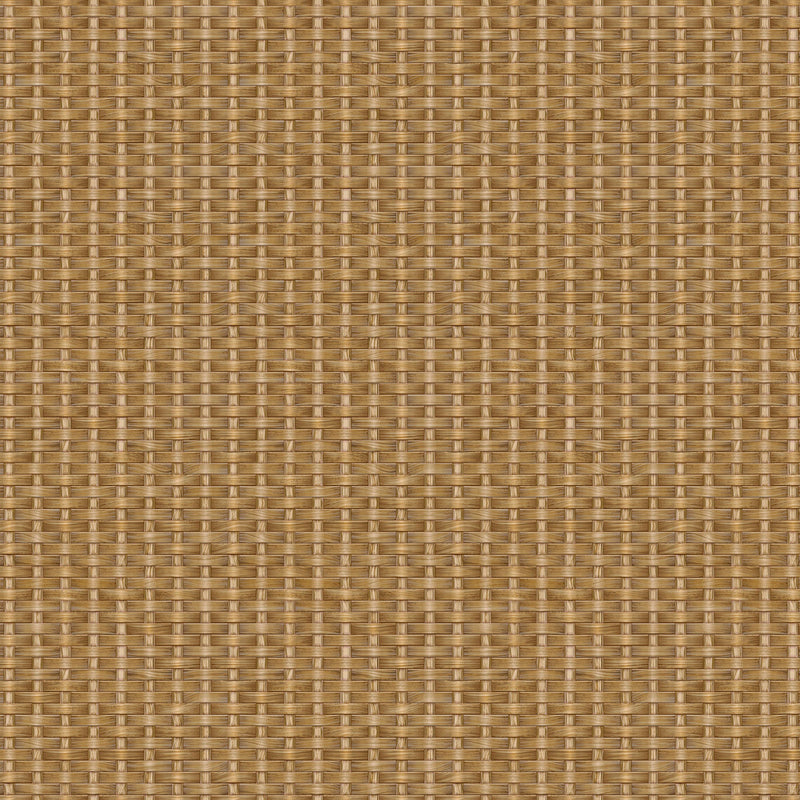 Kuba Yellow/Orange Raffias Eco Wallpaper by Coordonné