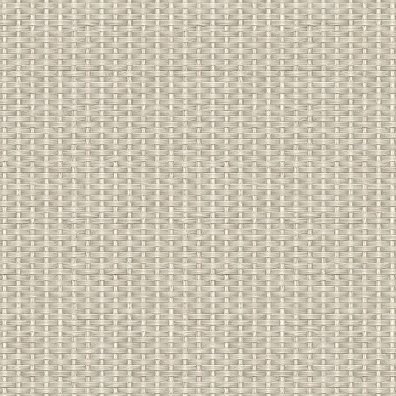 Kuba White/Grey Raffias Eco Wallpaper by Coordonné