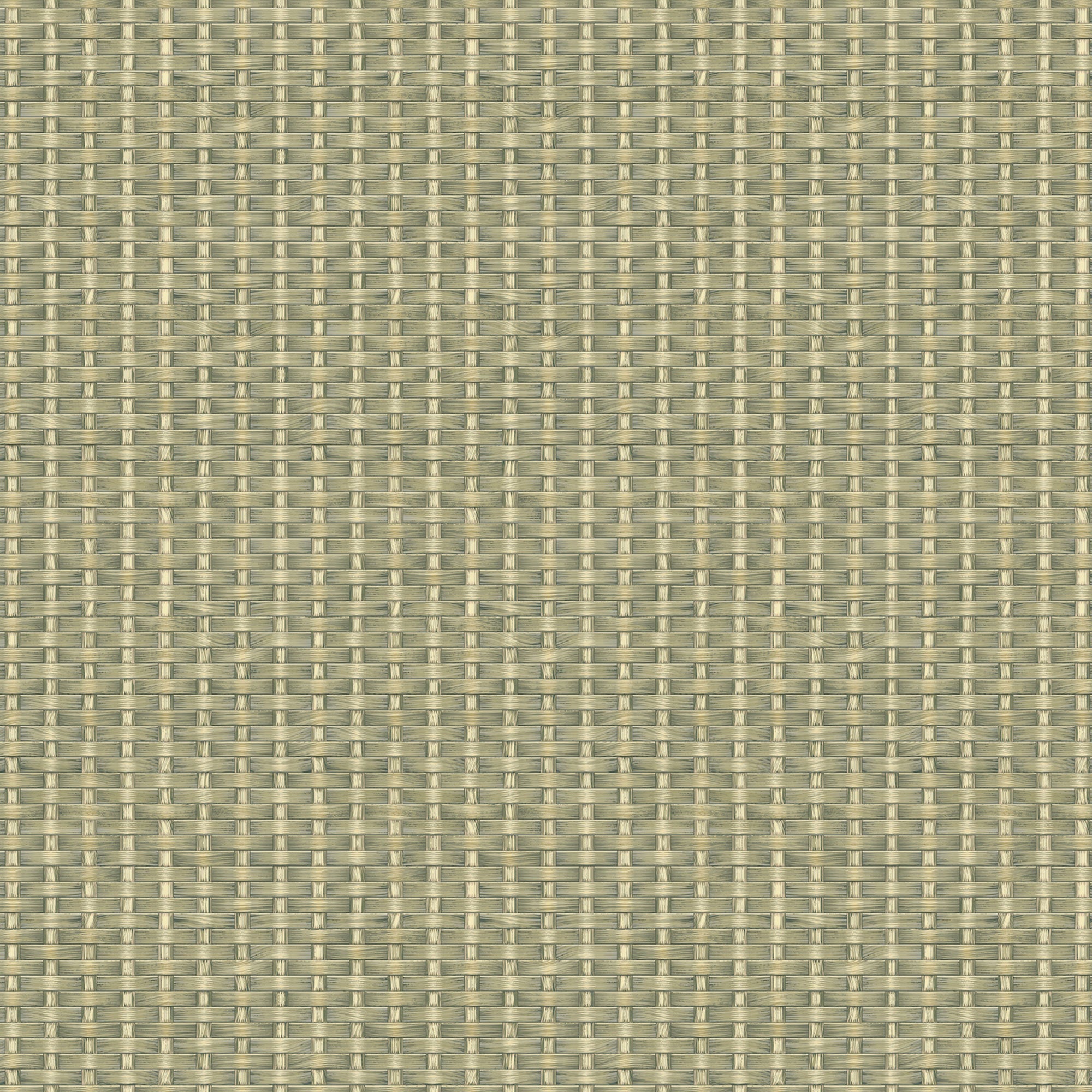 Kuba Green Raffias Eco Wallpaper by Coordonné