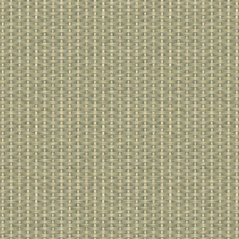 Kuba Green Raffias Eco Wallpaper by Coordonné