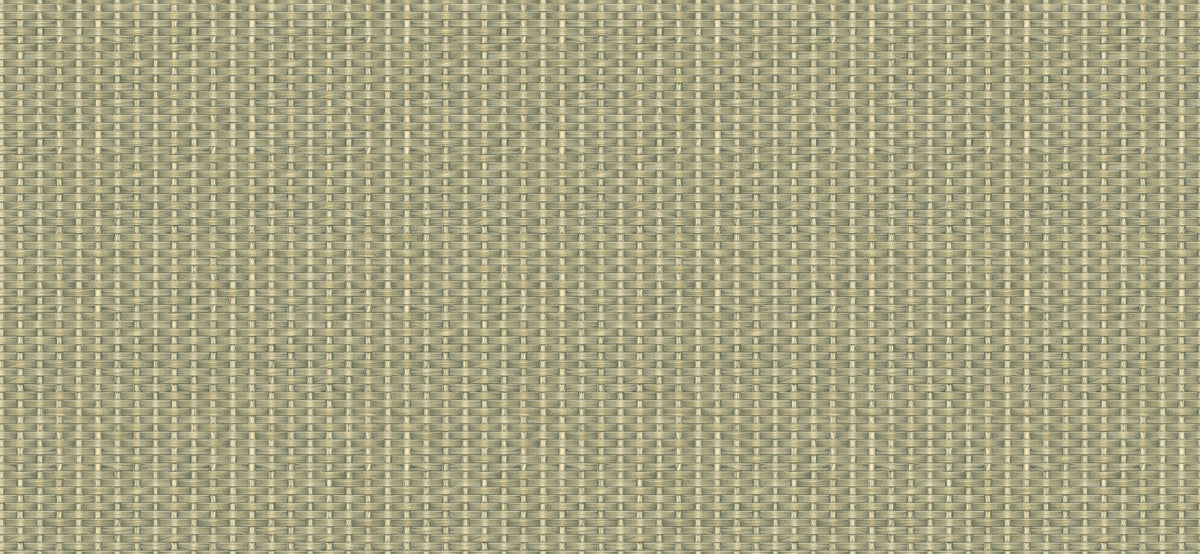 D00240 Kuba Green Raffias Eco Wallpaper by Coordonné