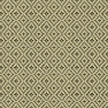 Mimbre Green Raffias Eco Wallpaper by Coordonné