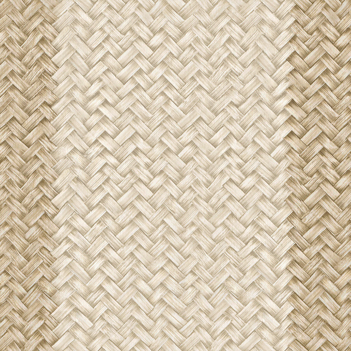 Palmeral Beige/Nude Raffias Eco Wallpaper by Coordonné