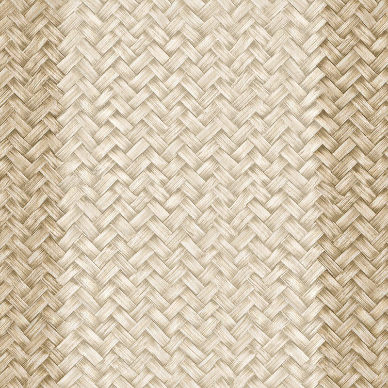 Palmeral Beige/Nude Raffias Eco Wallpaper by Coordonné