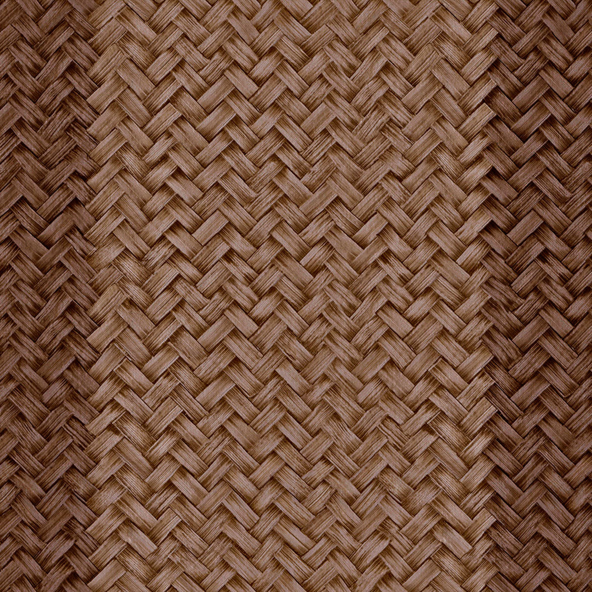 Palmeral Brown Raffias Eco Wallpaper by Coordonné