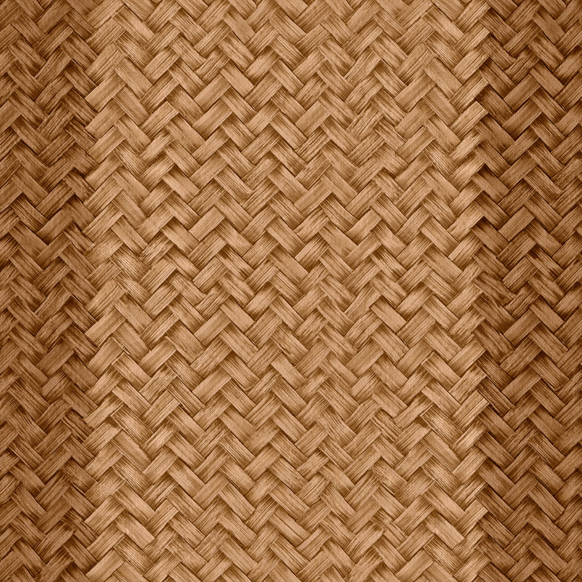 Palmeral Brown 2 Raffias Eco Wallpaper by Coordonné