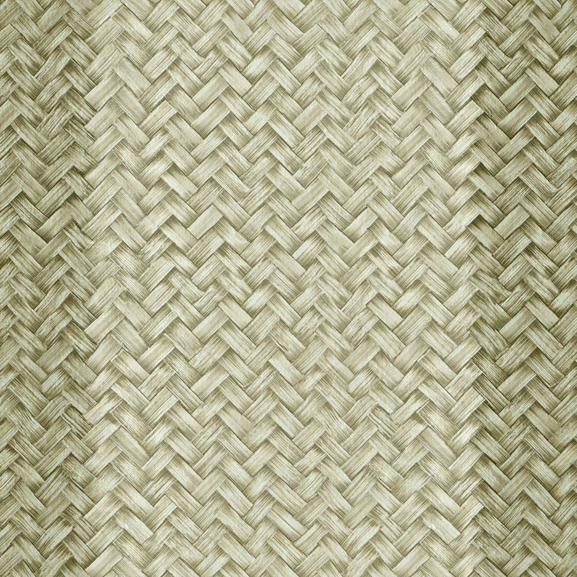 Palmeral Green Raffias Eco Wallpaper by Coordonné