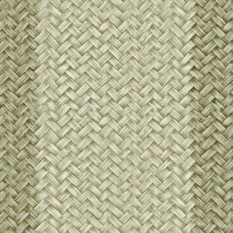 Palmeral Green Raffias Eco Wallpaper by Coordonné
