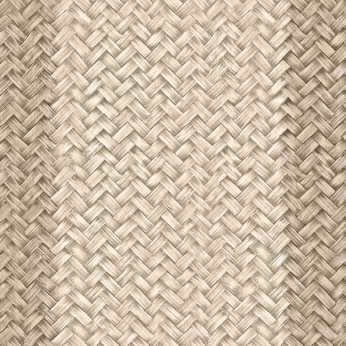 Palmeral Beige/Nude 2 Raffias Eco Wallpaper by Coordonné