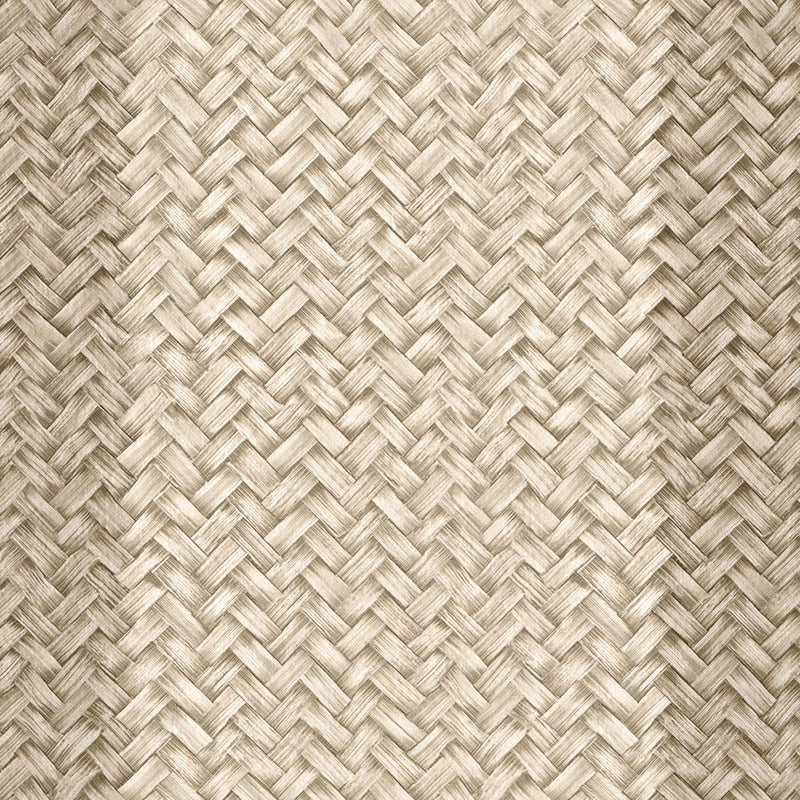Palmeral Beige/Nude 2 Raffias Eco Wallpaper by Coordonné