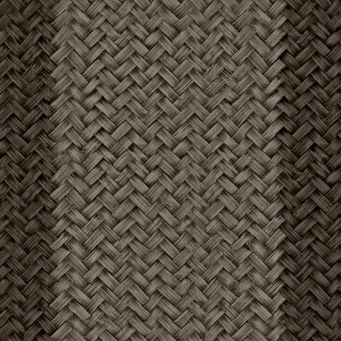 Palmeral Black Raffias Eco Wallpaper by Coordonné