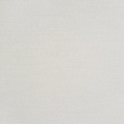 Lusso Grigio Spring 2024 Fabric by Coraggio