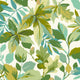Robin's Wood Arboretum Botanical Green Wallpaper by Sanderson