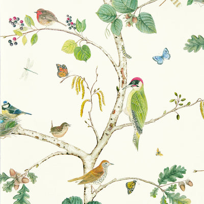 Woodland Chorus Arboretum Botanical and Multi Wallpaper by Sanderson