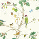 Woodland Chorus Arboretum Botanical and Multi Wallpaper by Sanderson