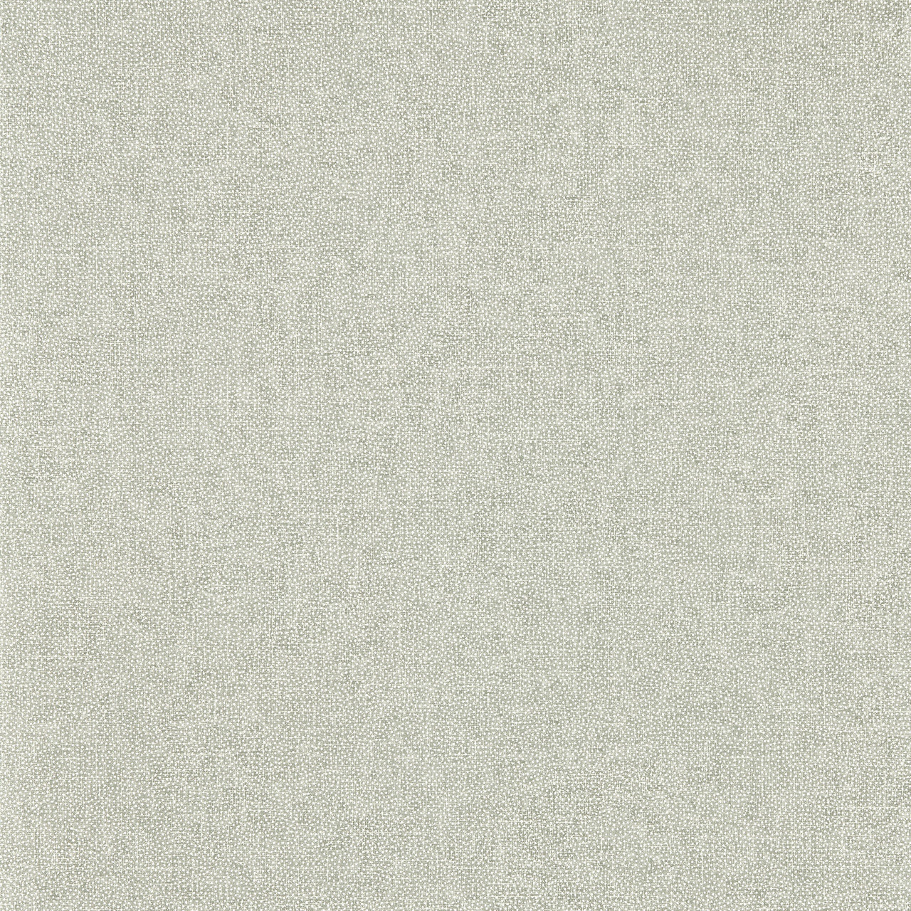 217245 Sessile Plain Arboretum Driftwood Wallpaper by Sanderson