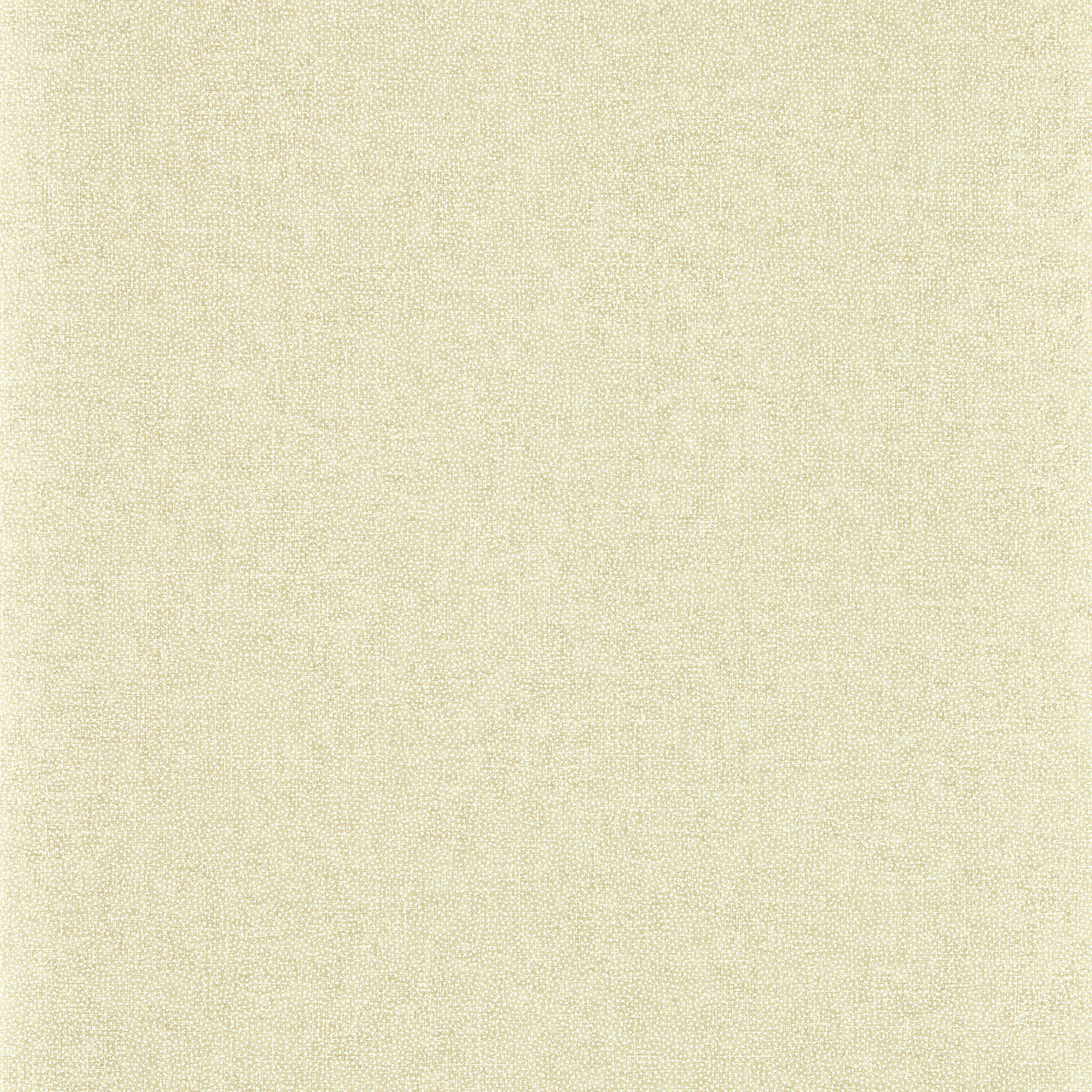 217246 Sessile Plain Arboretum Birch Wallpaper by Sanderson