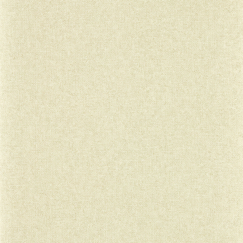 217246 Sessile Plain Arboretum Birch Wallpaper by Sanderson