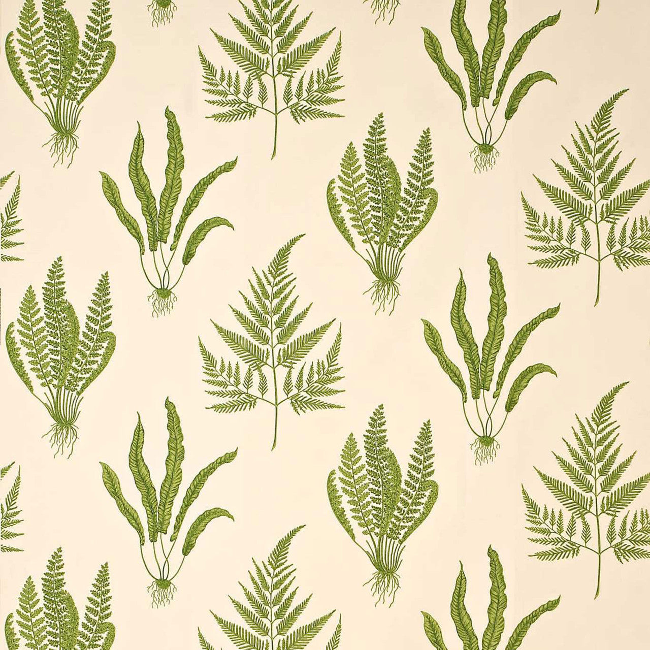 DAPGWO202 Woodland Ferns One Sixty Green Fabric by Sanderson