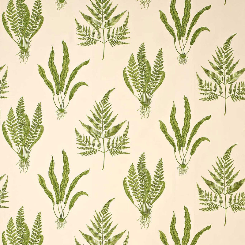 DAPGWO202 Woodland Ferns One Sixty Green Fabric by Sanderson