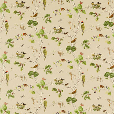 Woodland Chorus Arboretum Birch Multi Fabric by Sanderson