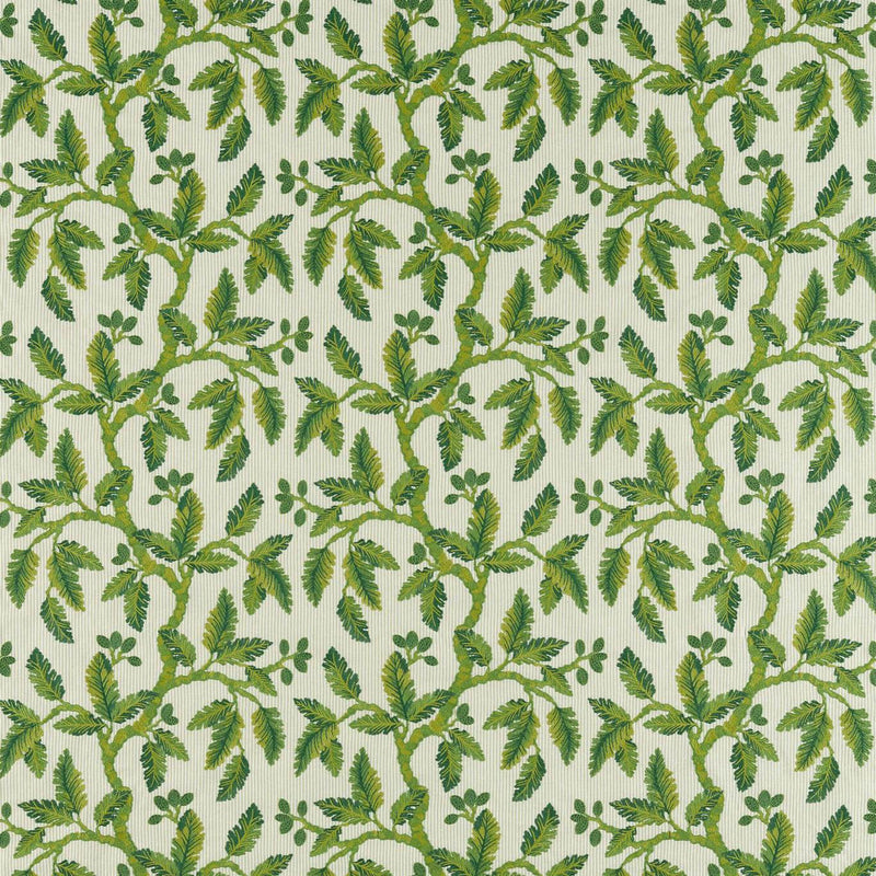 237321 Oaknut Stripe Arboretum Botanical Green Fabric by Sanderson