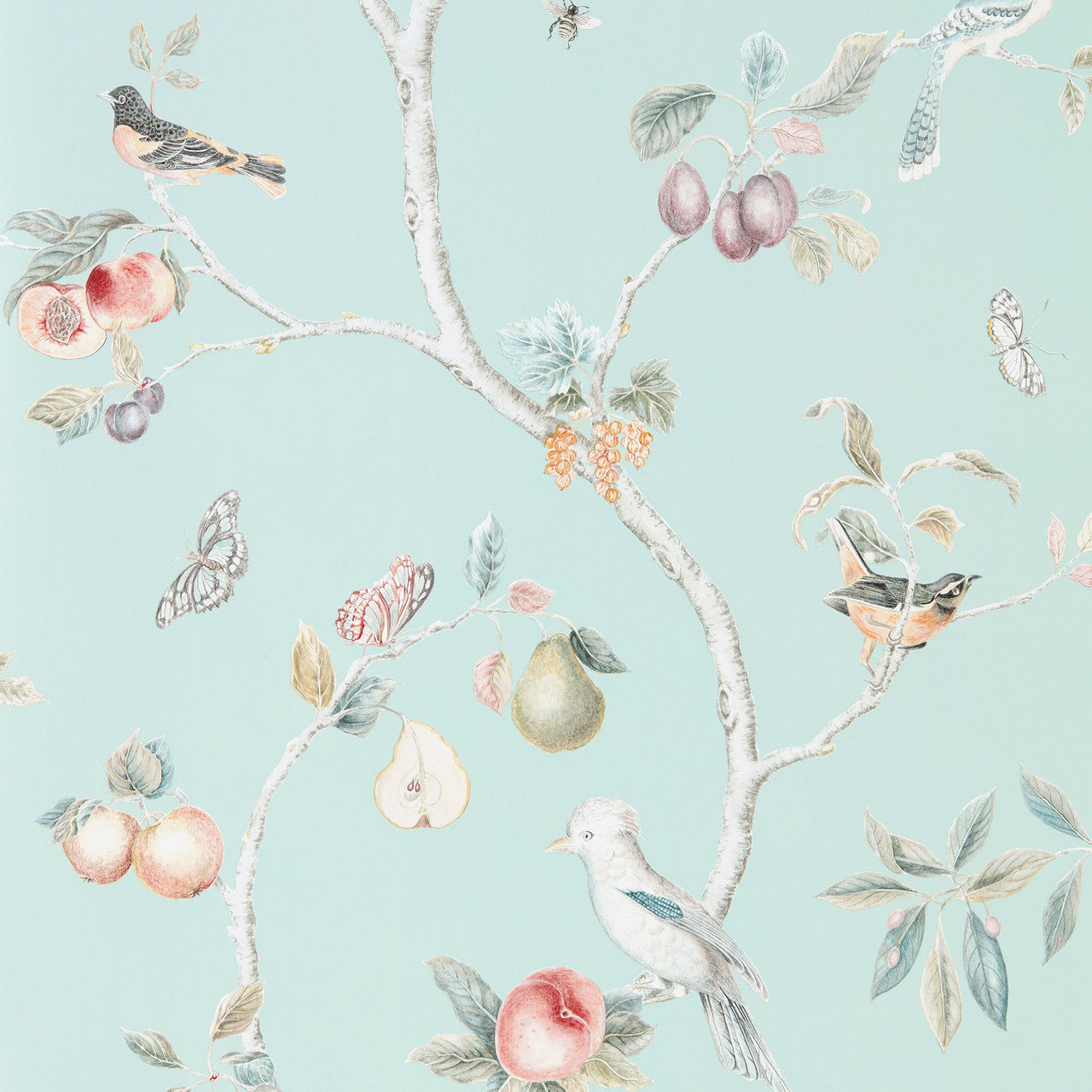 216312 Fruit Aviary Country Woodland Duck Egg and Multi Wallpaper by Sanderson