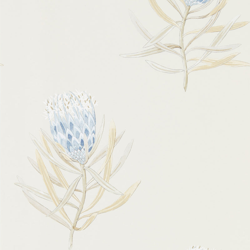 216327 Protea Flower Curios China Blue/Canvas Wallpaper by Sanderson