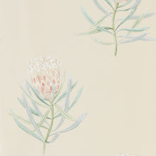 216329 Protea Flower Curios Russet/Green Wallpaper by Sanderson