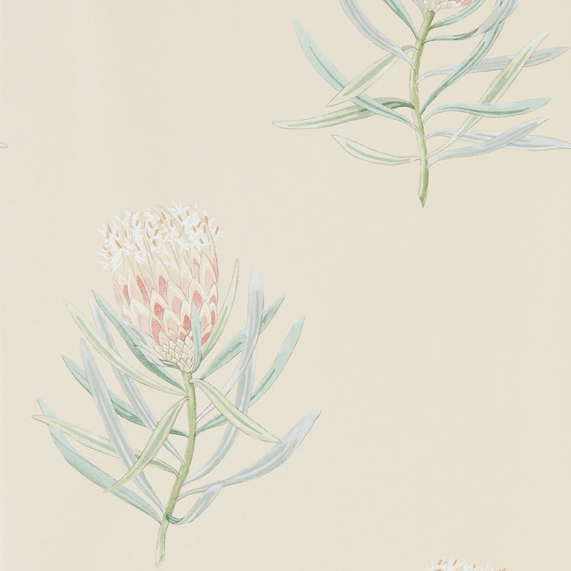216329 Protea Flower Curios Russet/Green Wallpaper by Sanderson