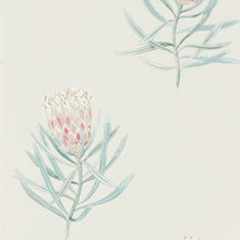 216330 Protea Flower Curios Porcelain/Blush Wallpaper by Sanderson