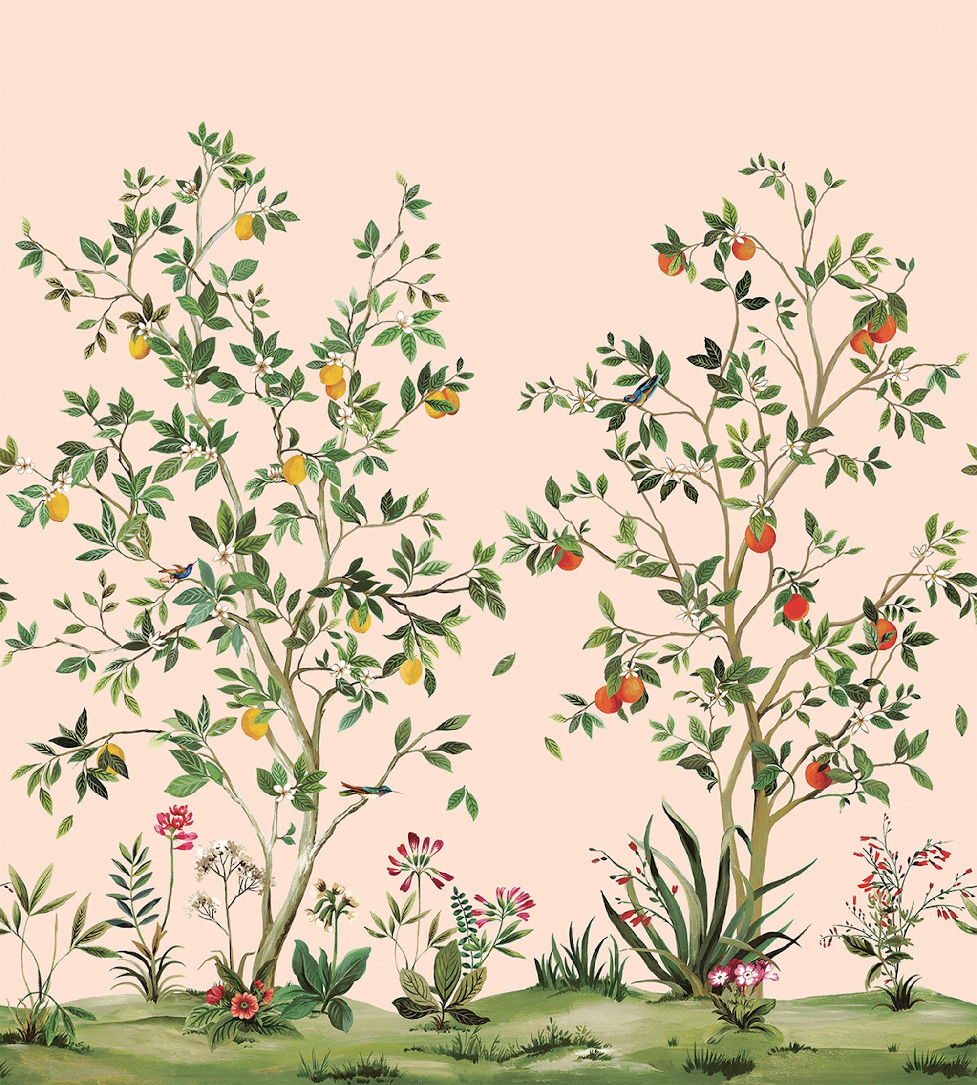 Citrus Grove Mural Pink Daisy Bennett Wallpaper by Galerie