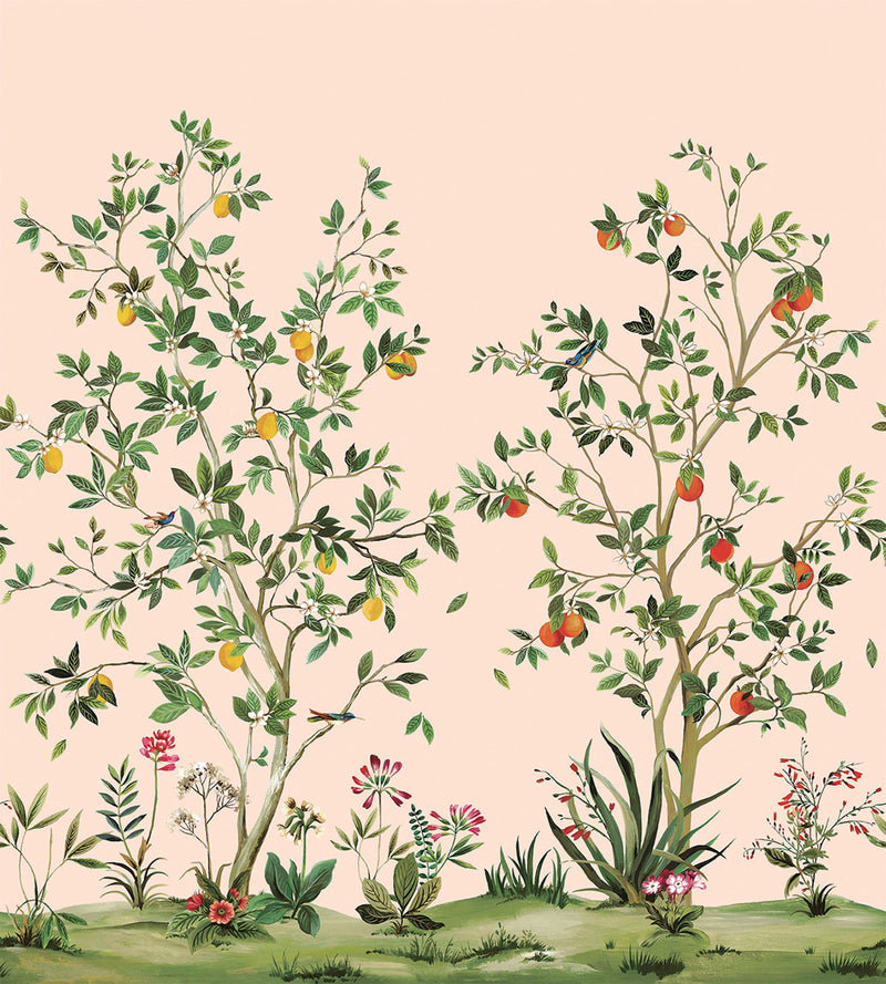 Citrus Grove Mural Pink Daisy Bennett Wallpaper by Galerie