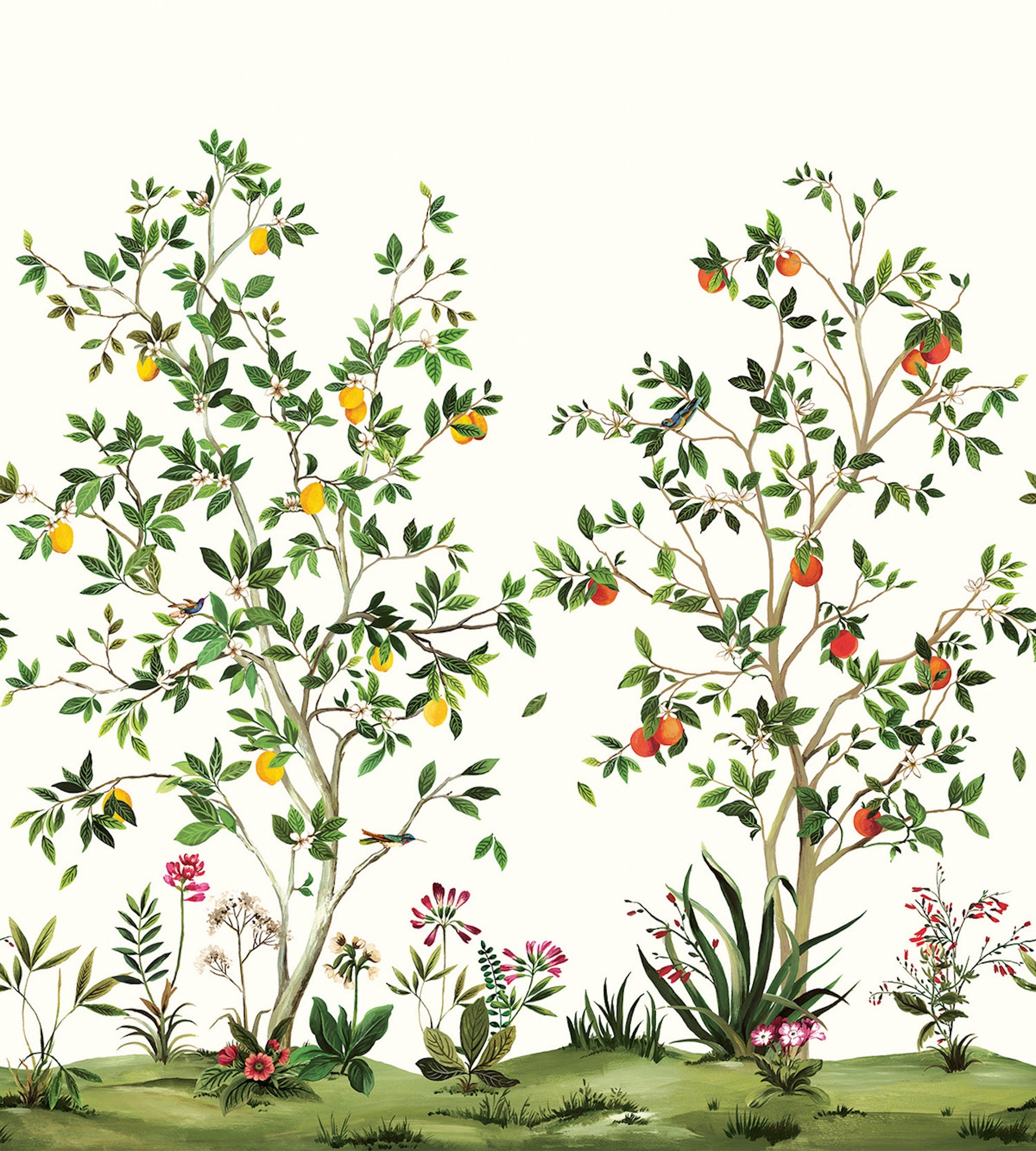 Citrus Grove Mural Green Daisy Bennett Wallpaper by Galerie