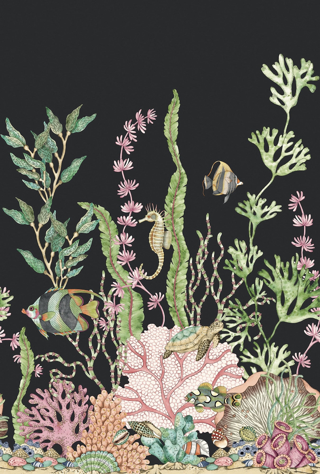 Nautical Mural Black Daisy Bennett Wallpaper by Galerie