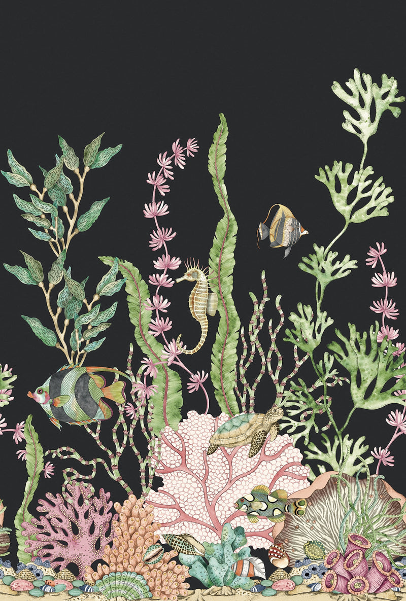 Nautical Mural Black Daisy Bennett Wallpaper by Galerie