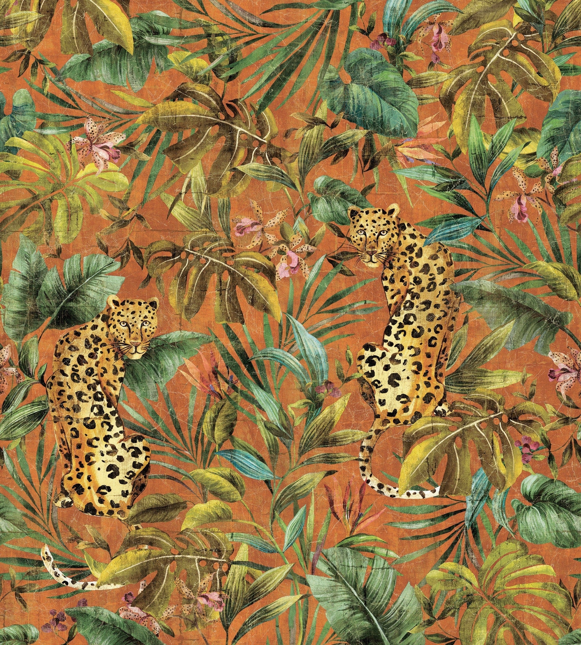 Exotica Mural Orange Daisy Bennett Wallpaper by Galerie