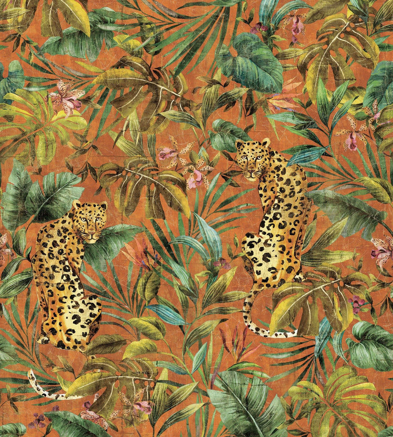 Exotica Mural Orange Daisy Bennett Wallpaper by Galerie