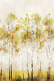 Aspen Tree Mural Silver Grey Daisy Bennett Wallpaper by Galerie