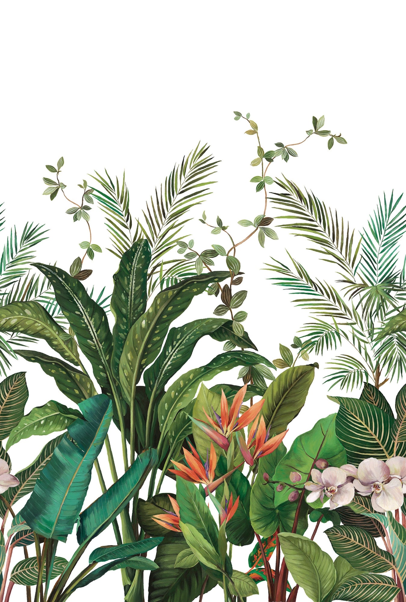 Bird of Paradise Mural Green Daisy Bennett Wallpaper by Galerie