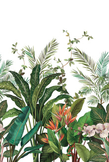 Bird of Paradise Mural Green Daisy Bennett Wallpaper by Galerie