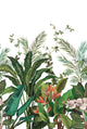Bird of Paradise Mural Green Daisy Bennett Wallpaper by Galerie
